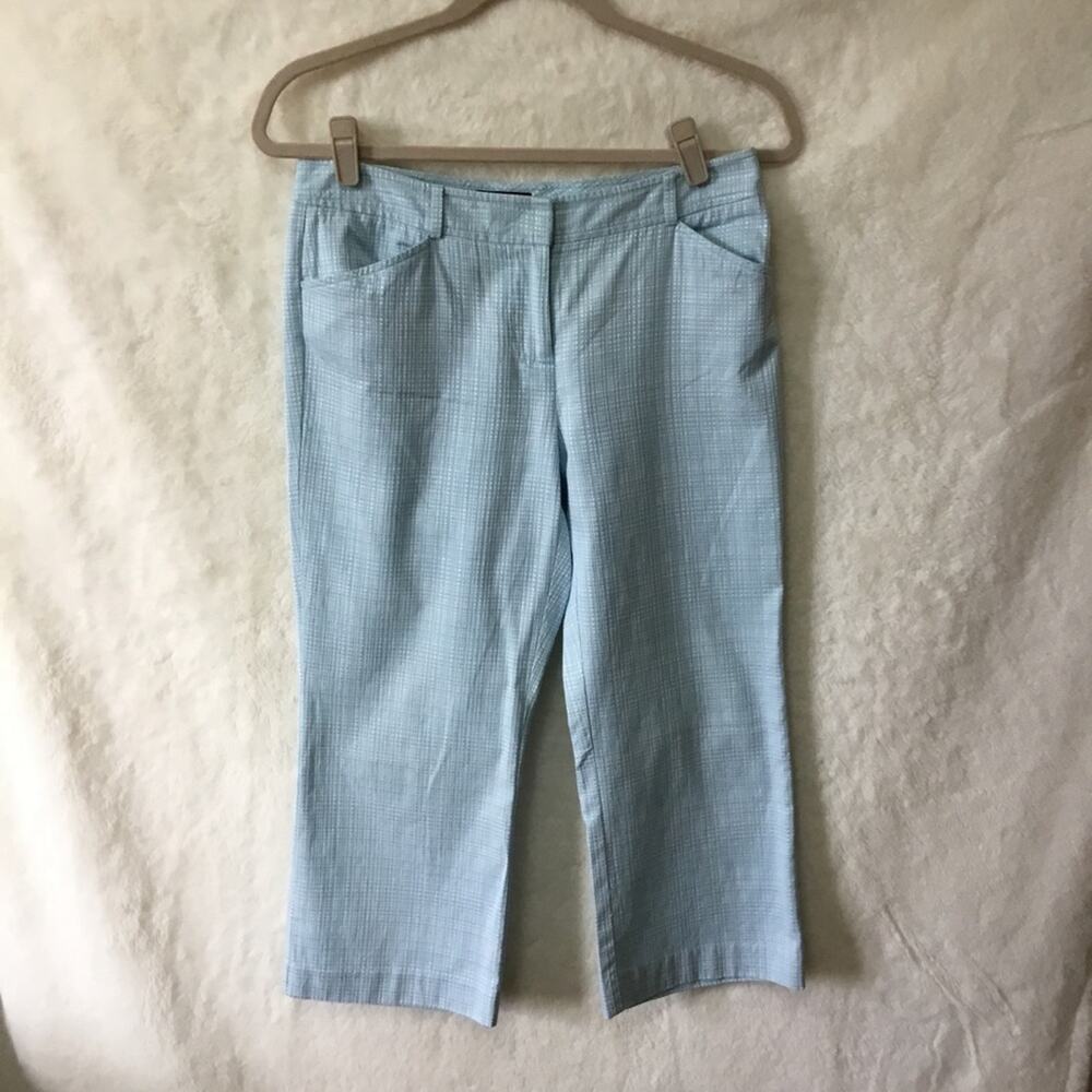 Ann Taylor Blue Pattern Crop Pants